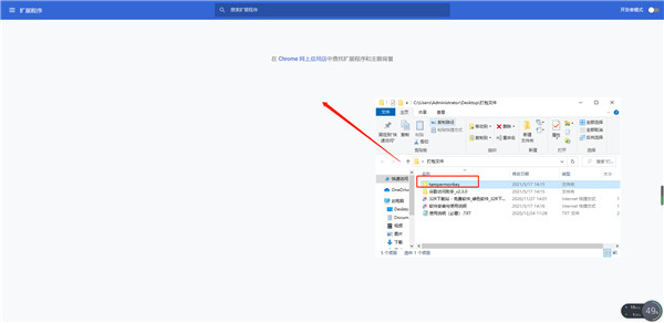 谷歌访问助手chrome版