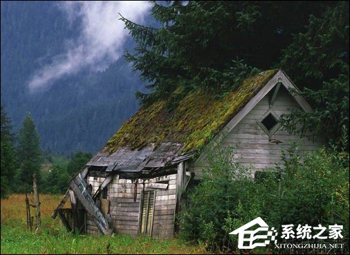 好用的PS滤镜有哪些?画面控的PS插件推荐